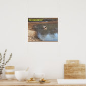 Poster Sciences de la Terre, Environnement, Eutrophisatio (Cuisine)