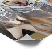 Poster scientifique des astronautes chiens/chats a (Coin)