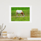 Poster Scimitar oryx (Cuisine)