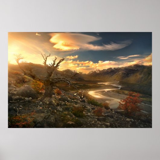 Poster Scion Du Far (Devant)