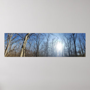 Poster Scioto Grove Metro Park, Grove City, Ohio