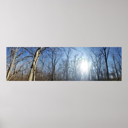 Poster Scioto Grove Metro Park, Grove City, Ohio (Devant)