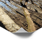 Poster Scioto Grove Metro Park, Grove City, Ohio (Coin)