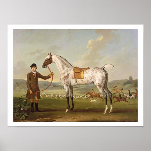 Poster Scipio, Colonel Roche's Spotted Hunter, vers 1750  (Devant)