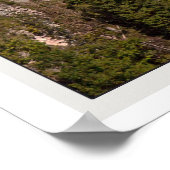 Poster Scloss Neuschwanstein (Coin)