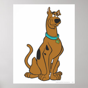 Poster Scooby Doo Chiot Yeux