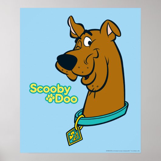 Poster Scooby-Doo Winking (Devant)