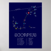 Poster Scorpie Constellation Zodiaque (Devant)