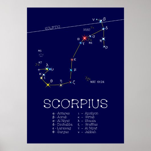 Poster Scorpie Constellation Zodiaque (Devant)