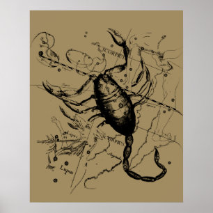 Poster Scorpio Constellation Hevelius 1690 Décor