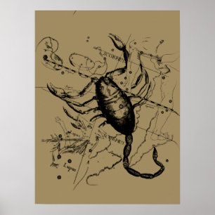 Poster Scorpio Constellation Hevelius vers 1690 Vintage