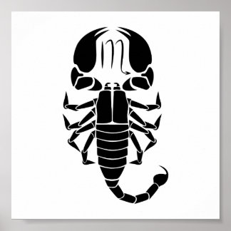 Poster scorpio scorpion astrologie zodiaque horoscope