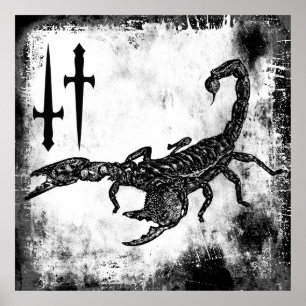 Poster Scorpion