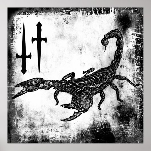 Poster Scorpion (Devant)