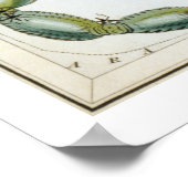 Poster Scorpion Astrologie Zodiaque (Coin)