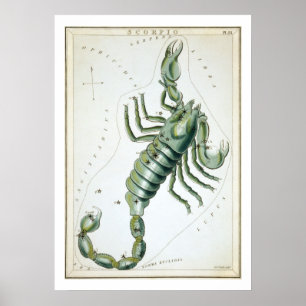 Poster Scorpion Astrologie Zodiaque