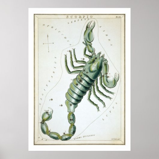 Poster Scorpion Astrologie Zodiaque (Devant)