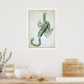Poster Scorpion Astrologie Zodiaque (Cuisine)