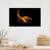 Poster Scorpion orange (Cuisine)