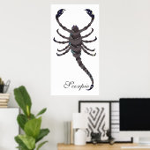 Poster Scorpion Starlight (Bureau à domicile)