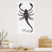 Poster Scorpion Starlight (Cuisine)