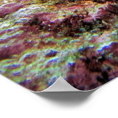 Poster Scorpionfish (Coin)