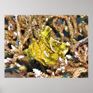 Poster Scorpionfish à feuilles jaunes