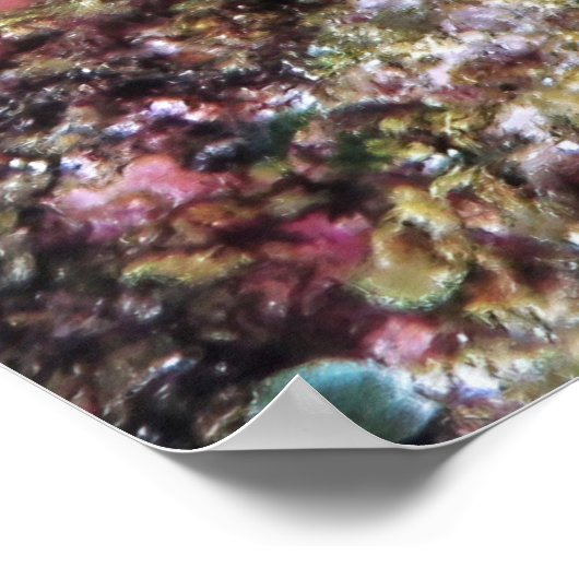 Poster Scorpionfish Gros plan (Coin)