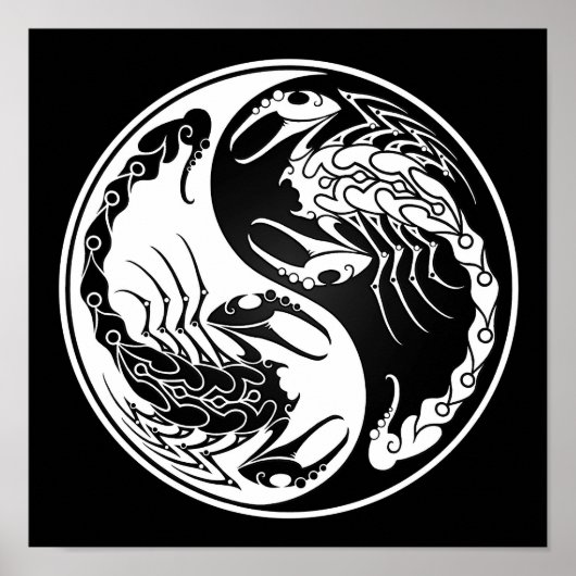 Poster Scorpions Yin Yang blanc et noir (Devant)