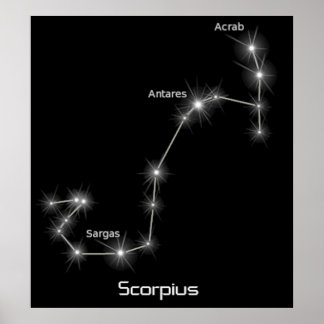 Poster Scorpius Constellation Scorpio Zodiac Business
