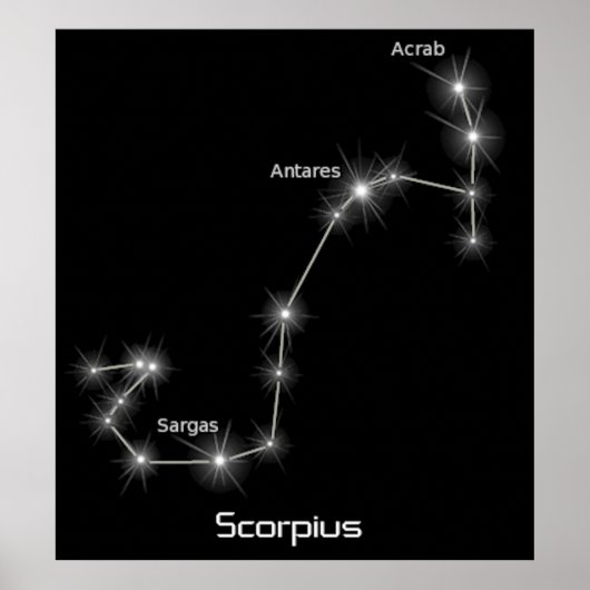 Poster Scorpius Constellation Scorpio Zodiac Business (Devant)