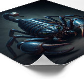 Poster Scorpoknaught (Coin)