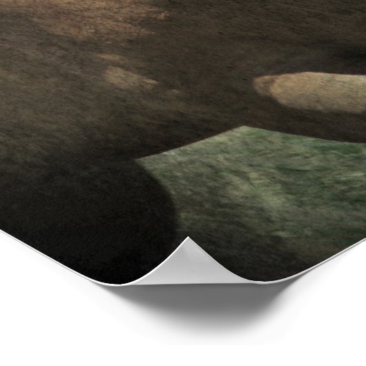 Poster Scotch (Coin)