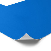 Poster Scotland Freedom (Coin)