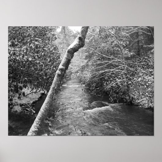 Poster Scott Creek (Devant)
