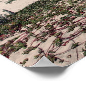 Poster Scott Creek Beach Autoroute 1 (Coin)