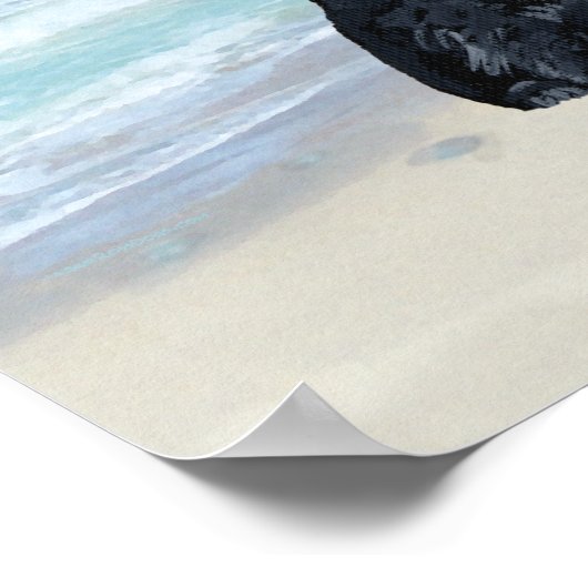 Poster Scottie (Coin)