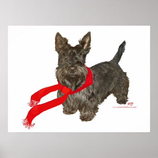 Poster Scottie d'hiver avec écharpe Wam (Devant)