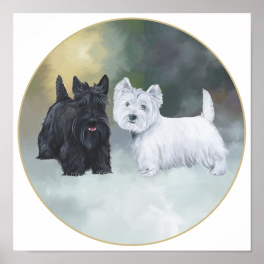 Poster Scottie Westie Hiver (Devant)