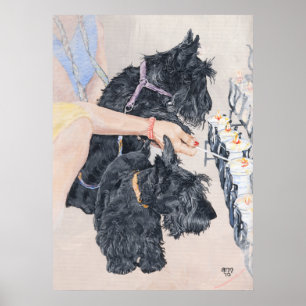 Poster Scotties Allume des Bougies
