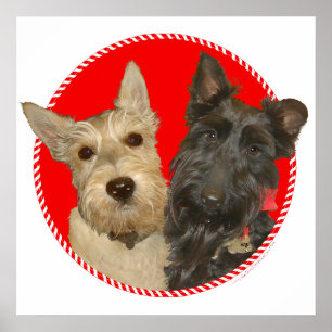 Poster Scotties roux et noirs de Noël