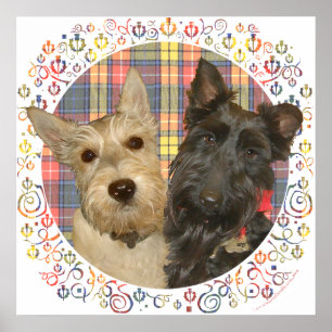 Poster Scotties roux et noirs sur tartan