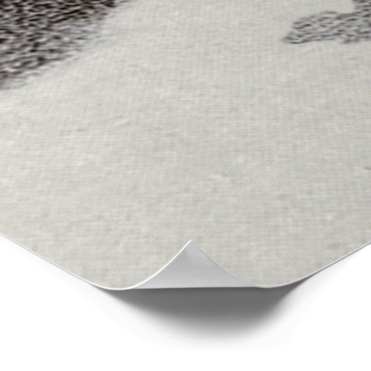 Poster Scotties Surreal Winter Night (Coin)