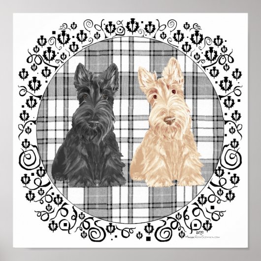 Poster Scotties tartan (Devant)