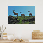 Poster Scottish Deer Trio (Cuisine)