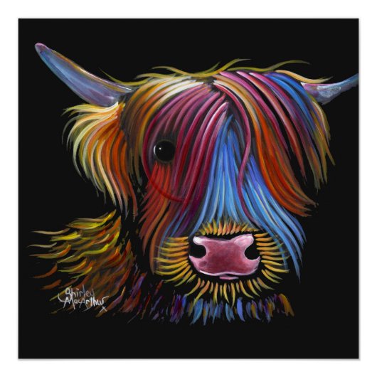 Poster Scottish Highland Cow ' PODGER ' par Shirley M (Devant)