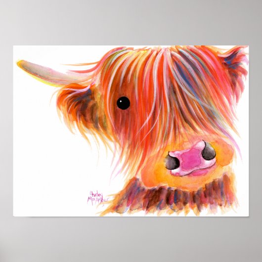 Poster Scottish Highland Cow ' SWEET SATSUMA ' par Shirle (Devant)