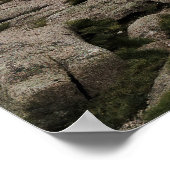 Poster Scottish highlands (Coin)