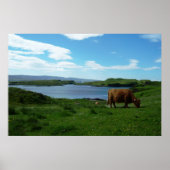 Poster Scottish highlands (Devant)
