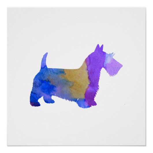 Poster Scottish Terrier (Devant)